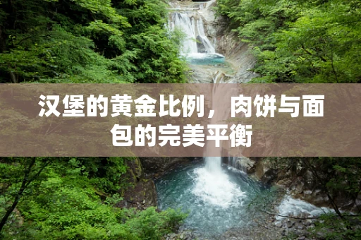 汉堡的黄金比例，肉饼与面包的完美平衡