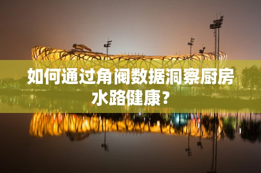 如何通过角阀数据洞察厨房水路健康？