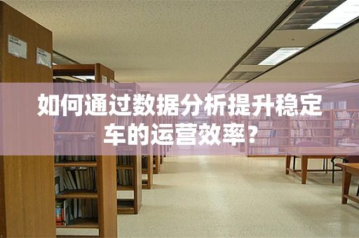 如何通过数据分析提升稳定车的运营效率？