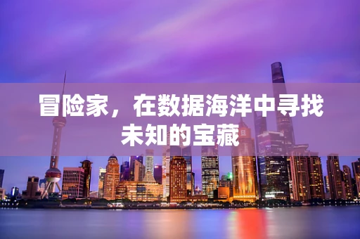 冒险家，在数据海洋中寻找未知的宝藏