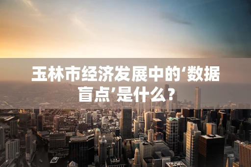 玉林市经济发展中的‘数据盲点’是什么？