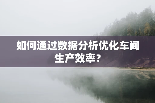 如何通过数据分析优化车间生产效率？