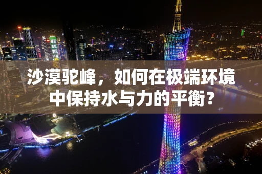 沙漠驼峰，如何在极端环境中保持水与力的平衡？