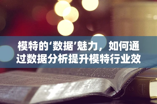 模特的‘数据’魅力，如何通过数据分析提升模特行业效率？