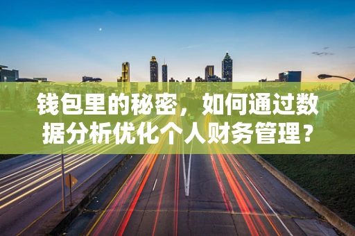 钱包里的秘密，如何通过数据分析优化个人财务管理？