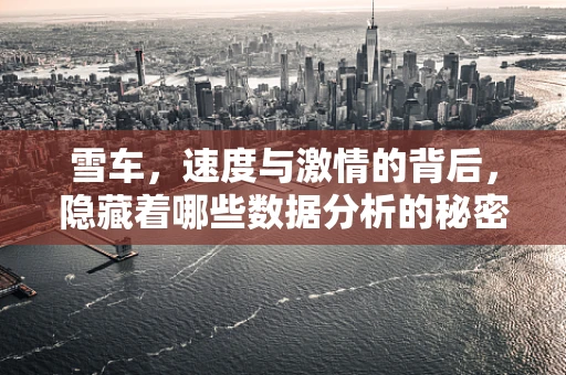 雪车，速度与激情的背后，隐藏着哪些数据分析的秘密？