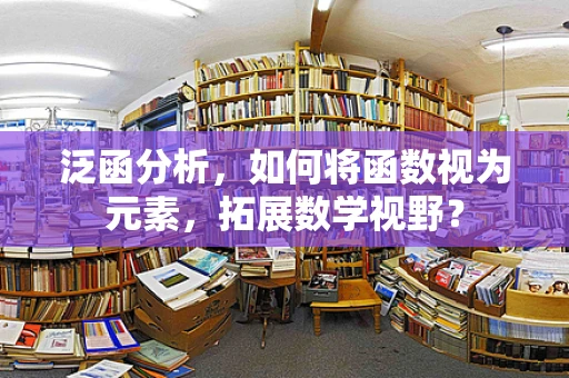 泛函分析，如何将函数视为元素，拓展数学视野？