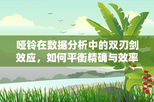 哑铃在数据分析中的双刃剑效应，如何平衡精确与效率？
