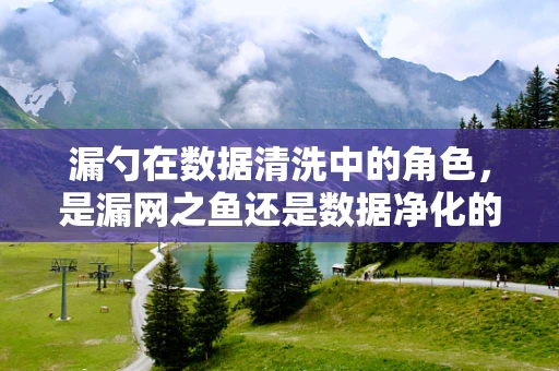 漏勺在数据清洗中的角色，是漏网之鱼还是数据净化的得力助手？