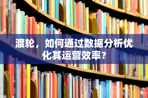 渡轮，如何通过数据分析优化其运营效率？