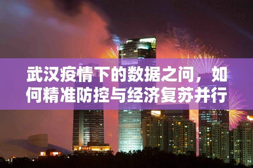 武汉疫情下的数据之问，如何精准防控与经济复苏并行？
