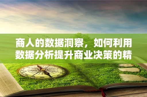 商人的数据洞察，如何利用数据分析提升商业决策的精准度？