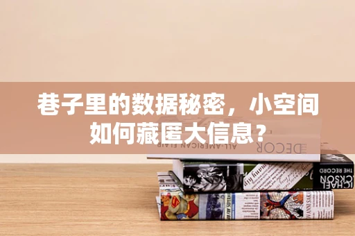 巷子里的数据秘密，小空间如何藏匿大信息？