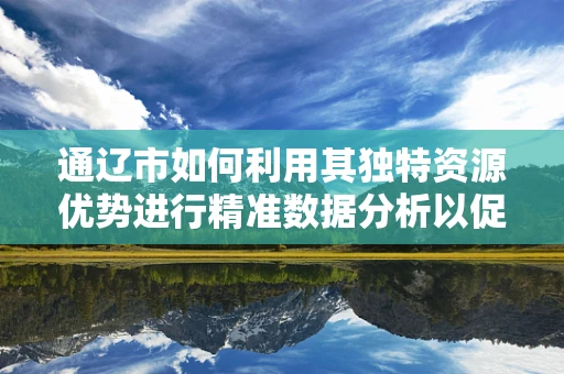 通辽市如何利用其独特资源优势进行精准数据分析以促进经济发展？