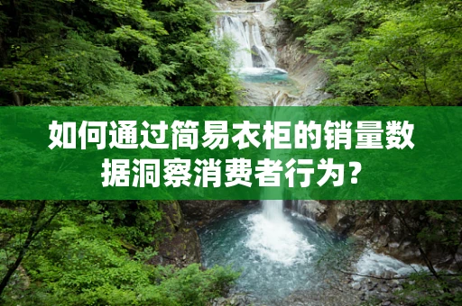 如何通过简易衣柜的销量数据洞察消费者行为？