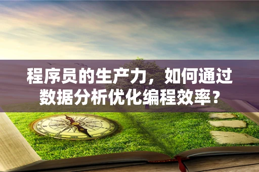 程序员的生产力，如何通过数据分析优化编程效率？