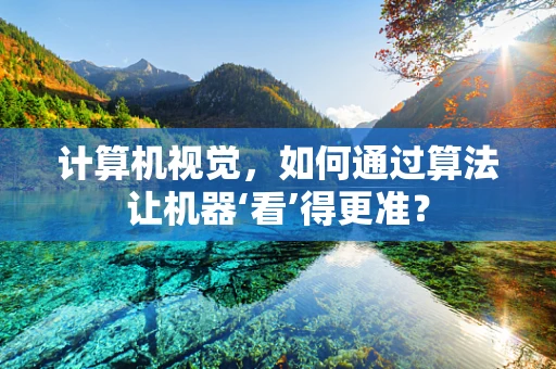 计算机视觉，如何通过算法让机器‘看’得更准？