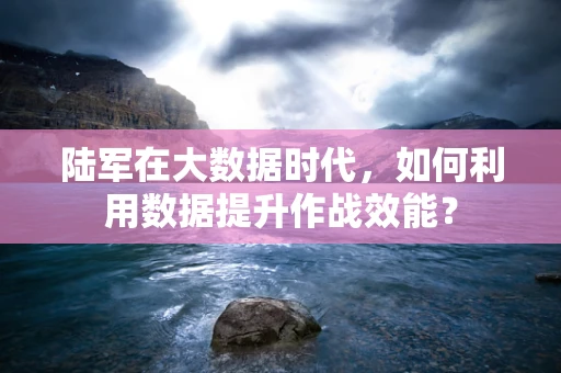 陆军在大数据时代，如何利用数据提升作战效能？