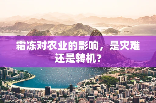 霜冻对农业的影响，是灾难还是转机？