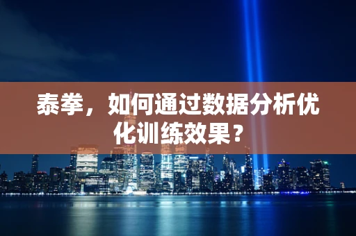 泰拳，如何通过数据分析优化训练效果？