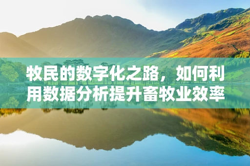 牧民的数字化之路，如何利用数据分析提升畜牧业效率？