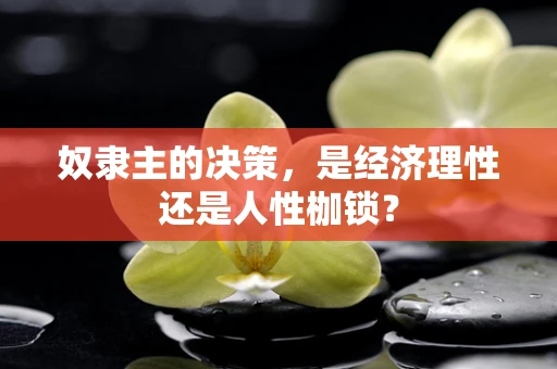 奴隶主的决策，是经济理性还是人性枷锁？