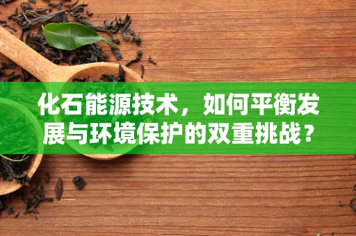 化石能源技术，如何平衡发展与环境保护的双重挑战？