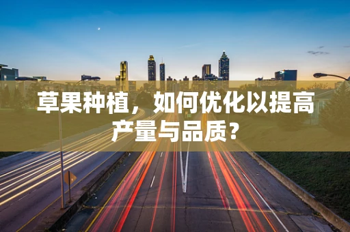 草果种植，如何优化以提高产量与品质？