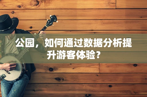 公园，如何通过数据分析提升游客体验？