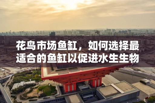 花鸟市场鱼缸，如何选择最适合的鱼缸以促进水生生物的健康成长？