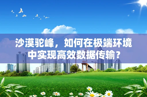 沙漠驼峰，如何在极端环境中实现高效数据传输？