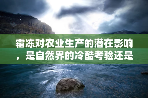 霜冻对农业生产的潜在影响，是自然界的冷酷考验还是可预测的挑战？