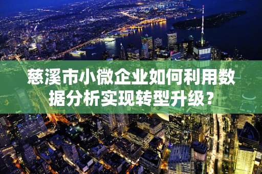 慈溪市小微企业如何利用数据分析实现转型升级？