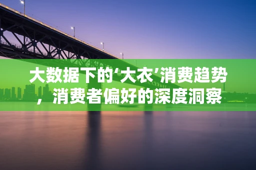 大数据下的‘大衣’消费趋势，消费者偏好的深度洞察