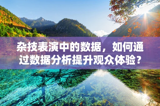 杂技表演中的数据，如何通过数据分析提升观众体验？