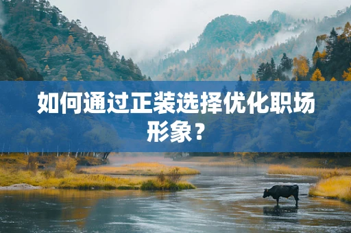 如何通过正装选择优化职场形象？