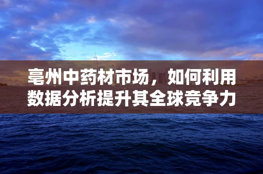 亳州中药材市场，如何利用数据分析提升其全球竞争力？