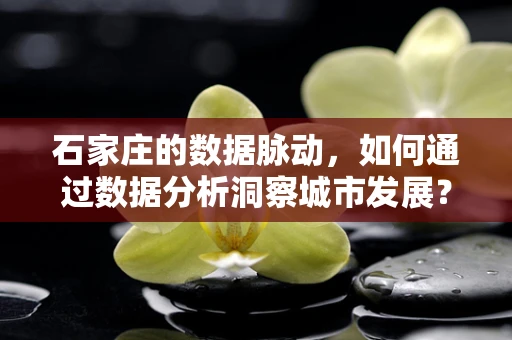 石家庄的数据脉动，如何通过数据分析洞察城市发展？