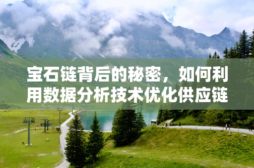 宝石链背后的秘密，如何利用数据分析技术优化供应链管理？