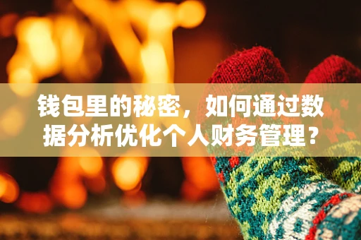 钱包里的秘密，如何通过数据分析优化个人财务管理？