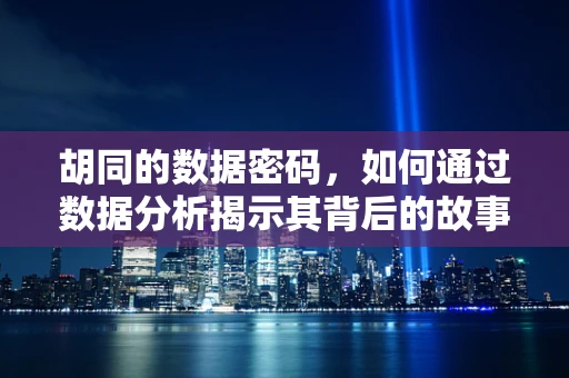 胡同的数据密码，如何通过数据分析揭示其背后的故事？