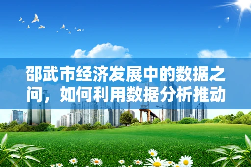 邵武市经济发展中的数据之问，如何利用数据分析推动产业升级？