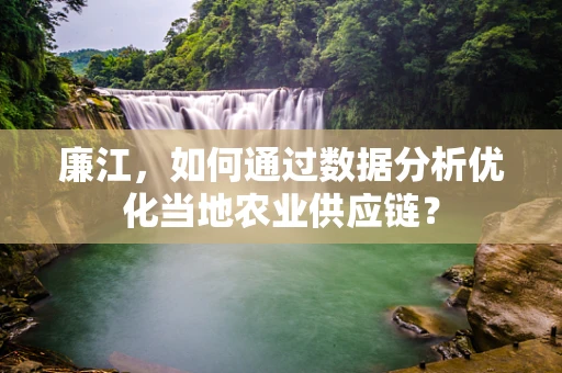 廉江，如何通过数据分析优化当地农业供应链？