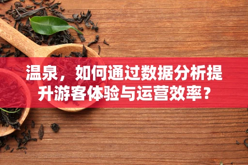 温泉，如何通过数据分析提升游客体验与运营效率？