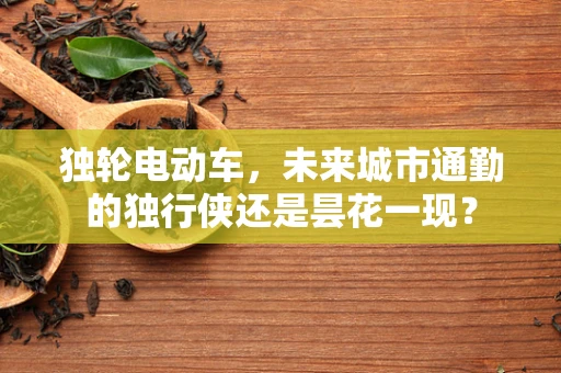 独轮电动车，未来城市通勤的独行侠还是昙花一现？