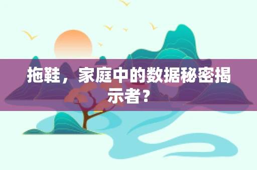 拖鞋，家庭中的数据秘密揭示者？