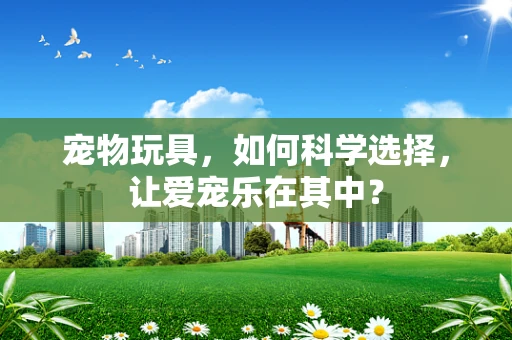 宠物玩具，如何科学选择，让爱宠乐在其中？