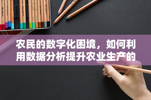 农民的数字化困境，如何利用数据分析提升农业生产的效率与可持续性？