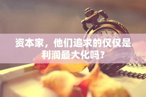 资本家，他们追求的仅仅是利润最大化吗？