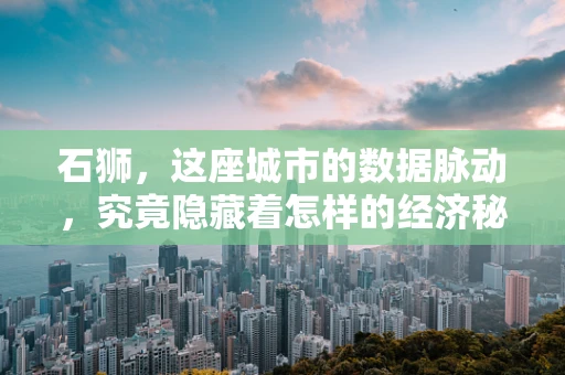 石狮，这座城市的数据脉动，究竟隐藏着怎样的经济秘密？